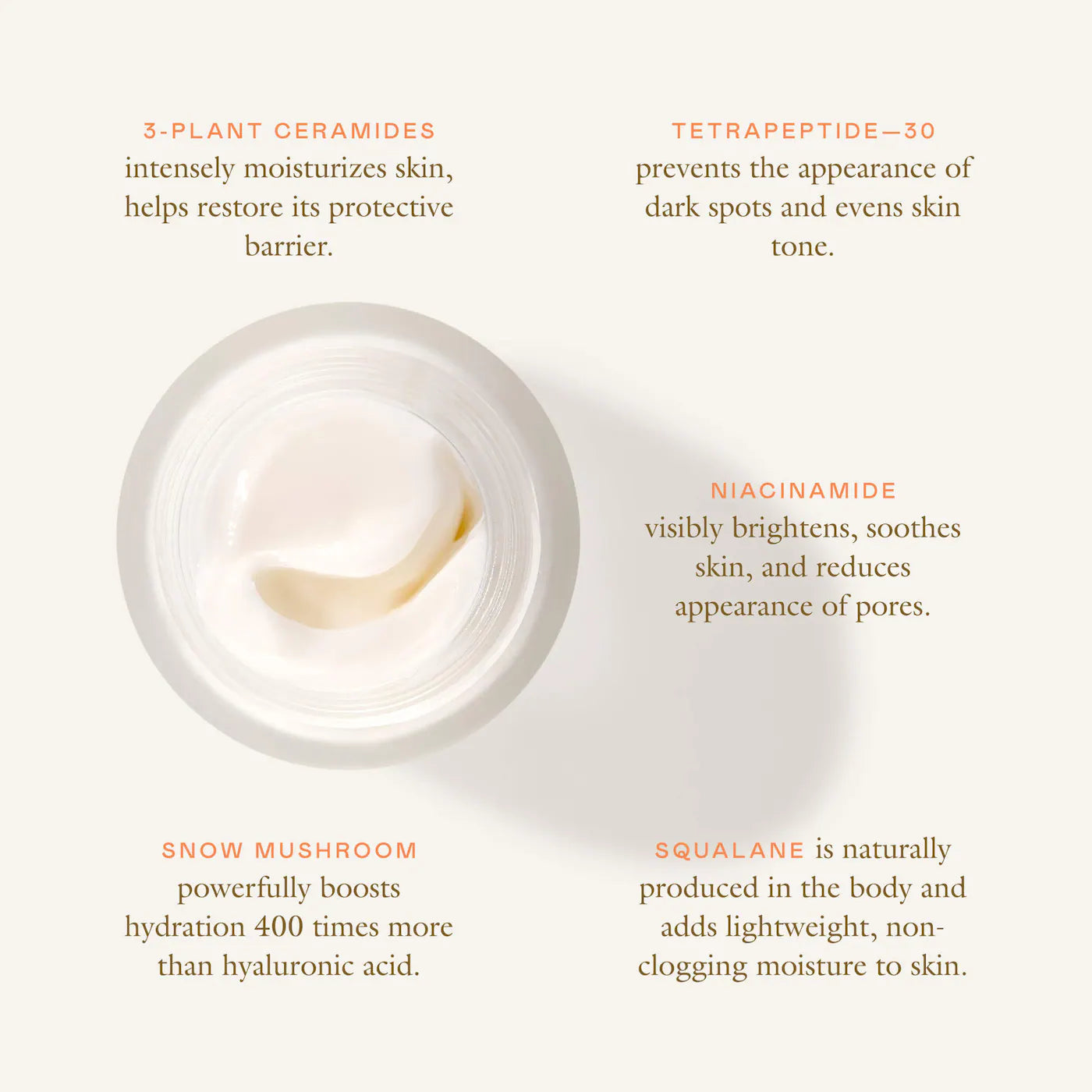 Cloud Cushion Dewy Plumping Cream | PREVENTA