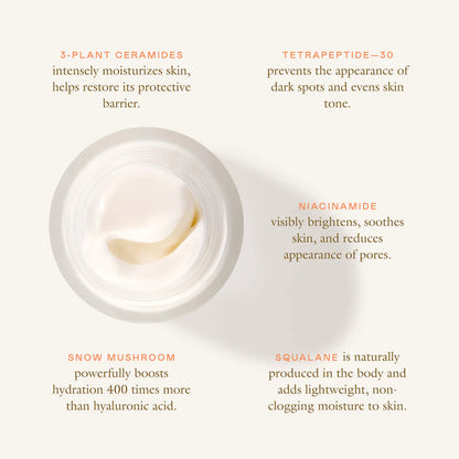 Cloud Cushion Dewy Plumping Cream | PREVENTA