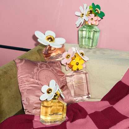 Mini Daisy Collection Coffret Set | PREVENTA