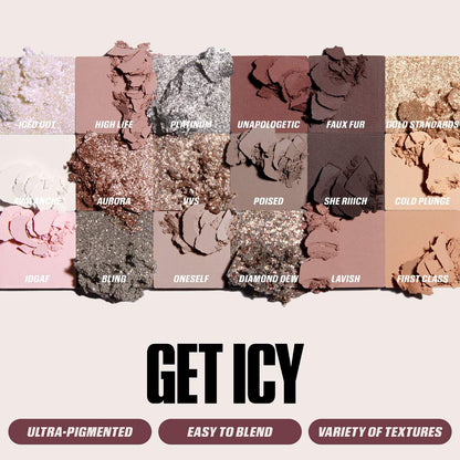 Icy Nude Eyeshadow Palette | PREVENTA