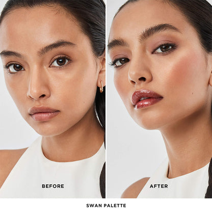 Ambient Lighting Edit Unlocked Palette - Swan | PREVENTA