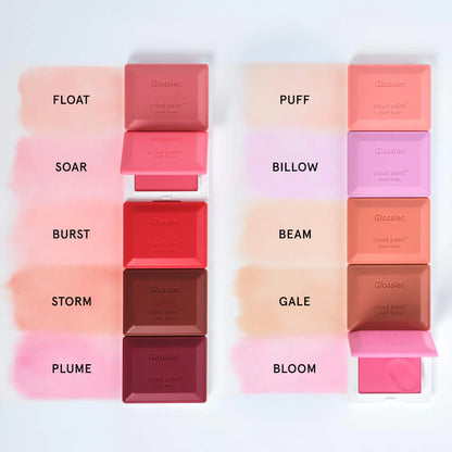 Cloud Paint Plush Blush | PREVENTA