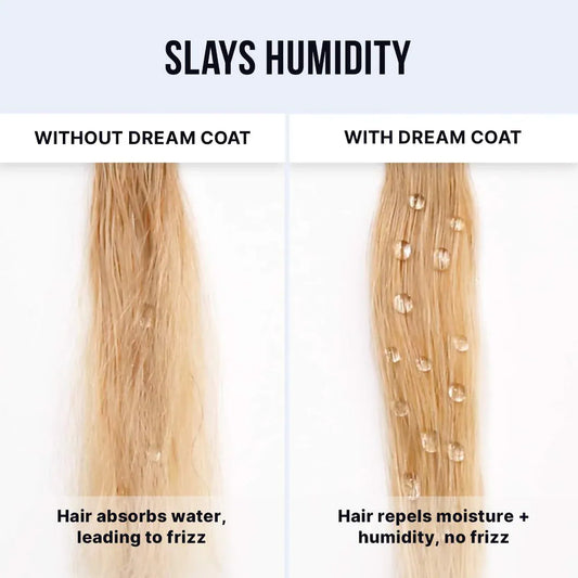 Dream Coat Iconic Frizz Fighters Hair Duo Gift Set