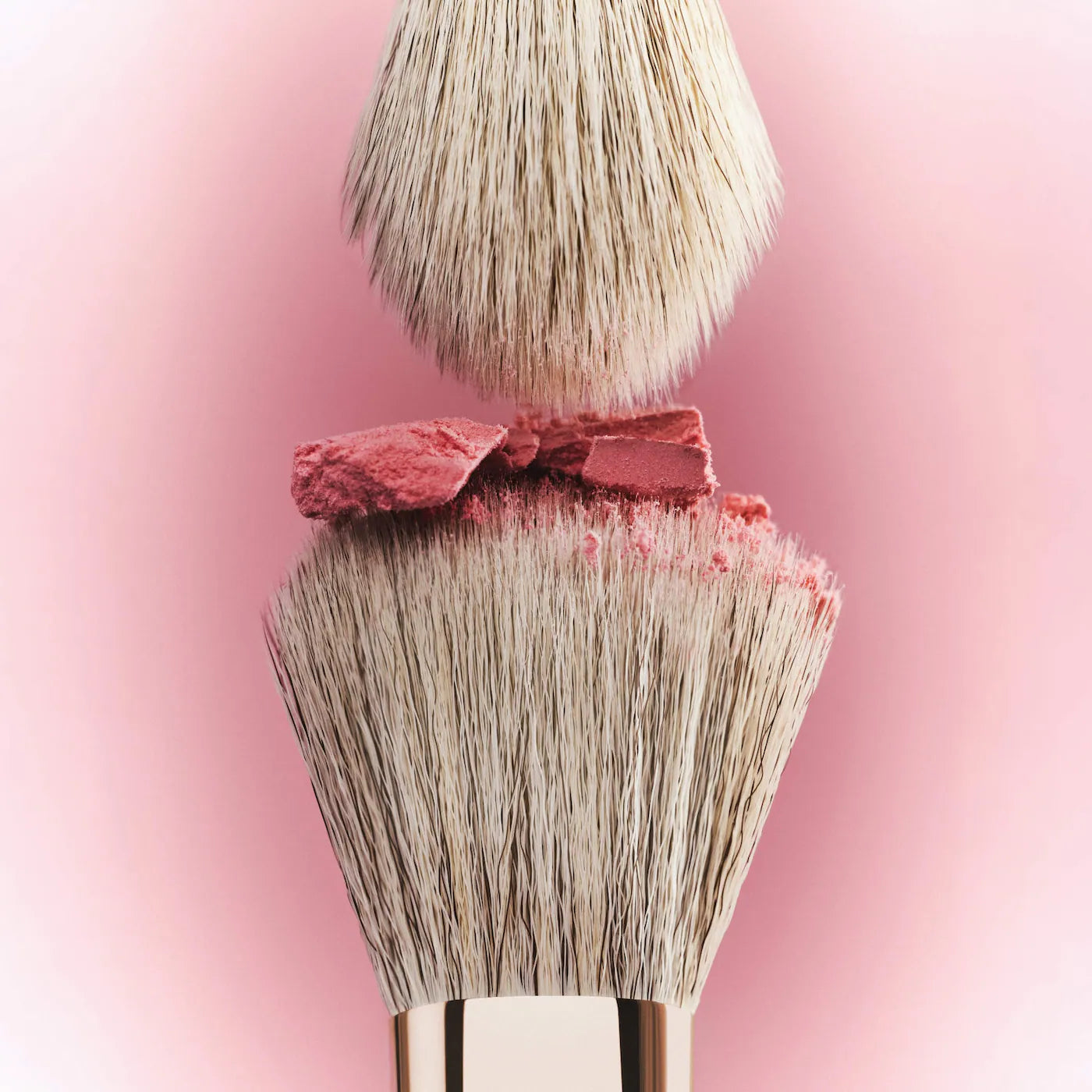 Dual Ended Transition Blush Brush | PREVENTA