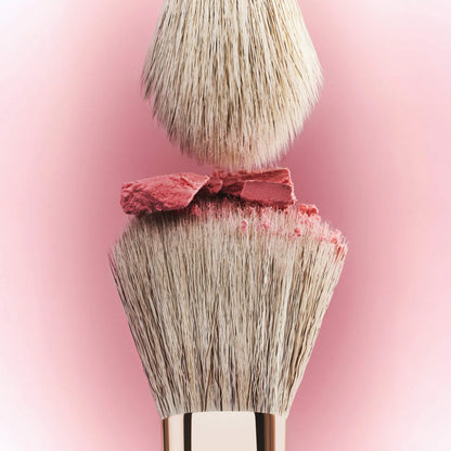 Dual Ended Transition Blush Brush | PREVENTA