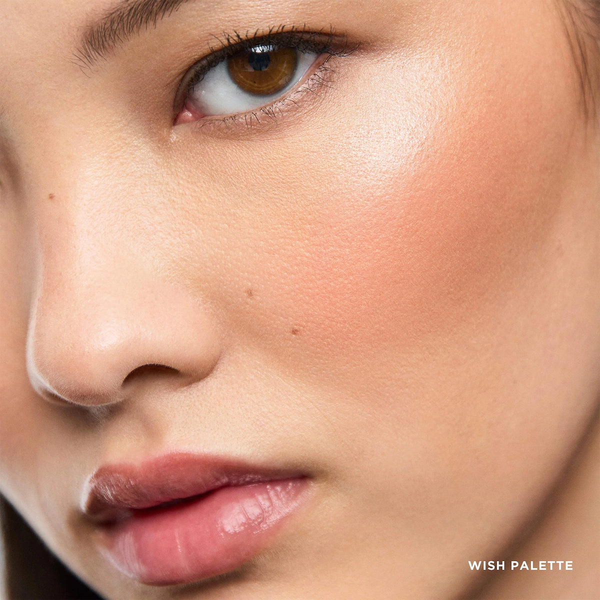 Wish Ambient Lighting Edit Unlocked Palette | PREVENTA