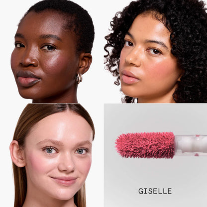 Makeup Experts Value Set | PREVENTA