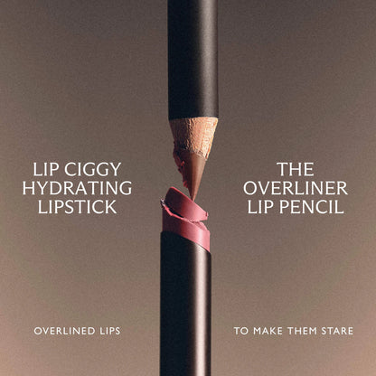 Lined & Lit Lipstick & Lip Liner Gift Set | PREVENTA