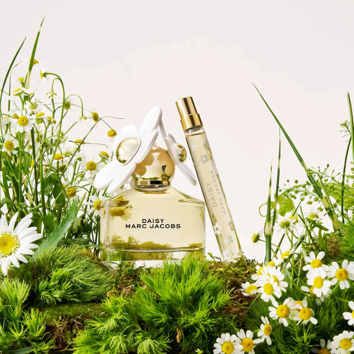 Holiday Perfume Sampler Vault Set | PREVENTA