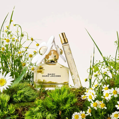 Holiday Perfume Sampler Vault Set | PREVENTA