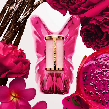 Holiday Perfume Sampler Vault Set | PREVENTA