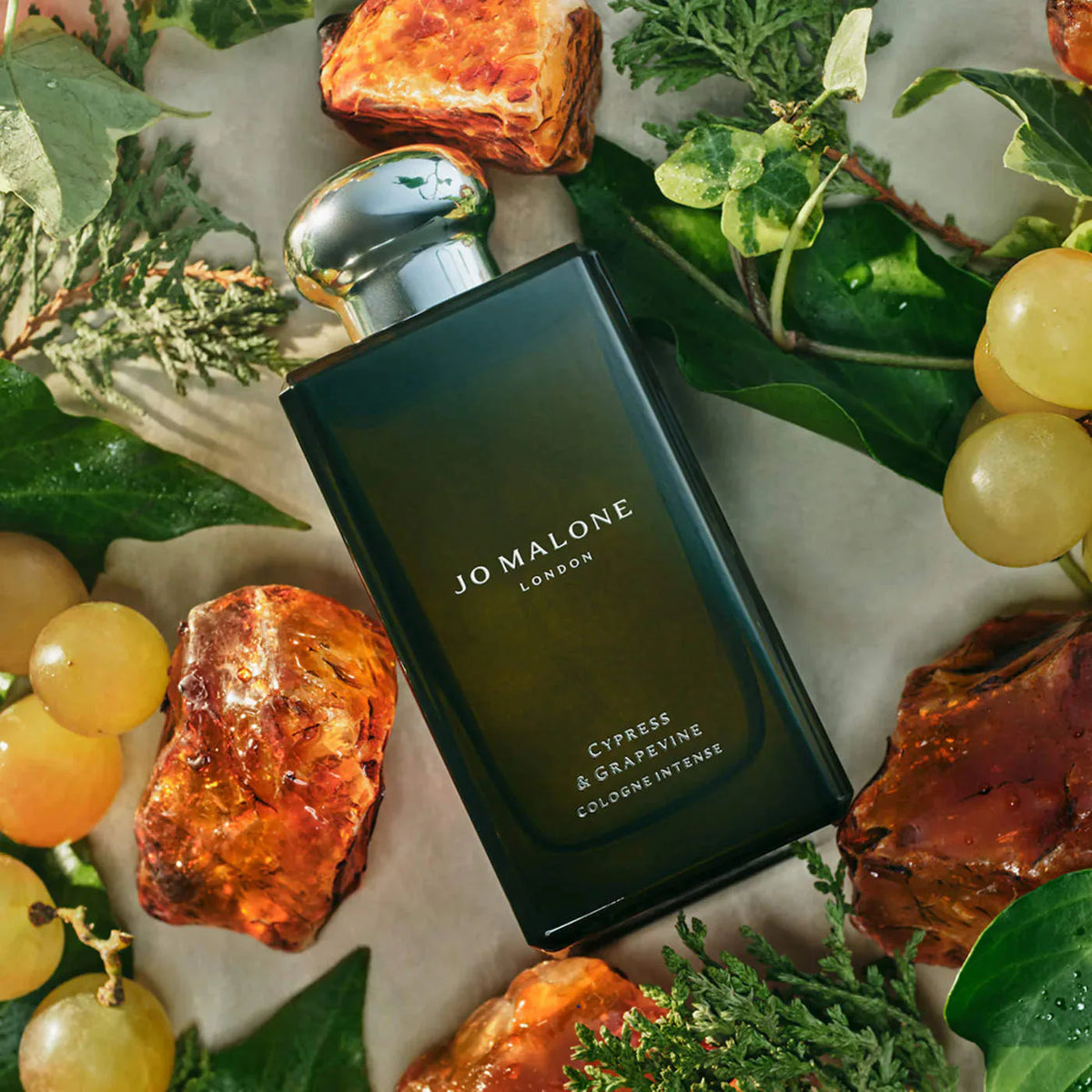 Holiday Mini Deluxe Cologne Sampler Collectors Edition | PREVENTA