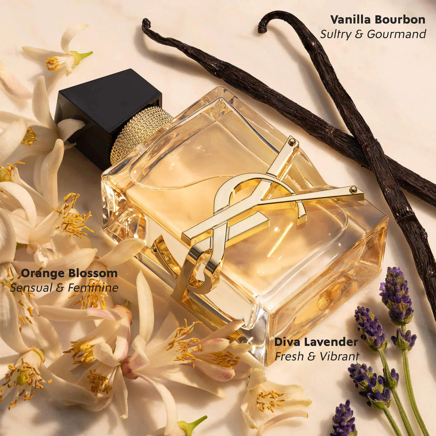 Holiday Women's Perfume Sampler Gift Set | PREVENTA