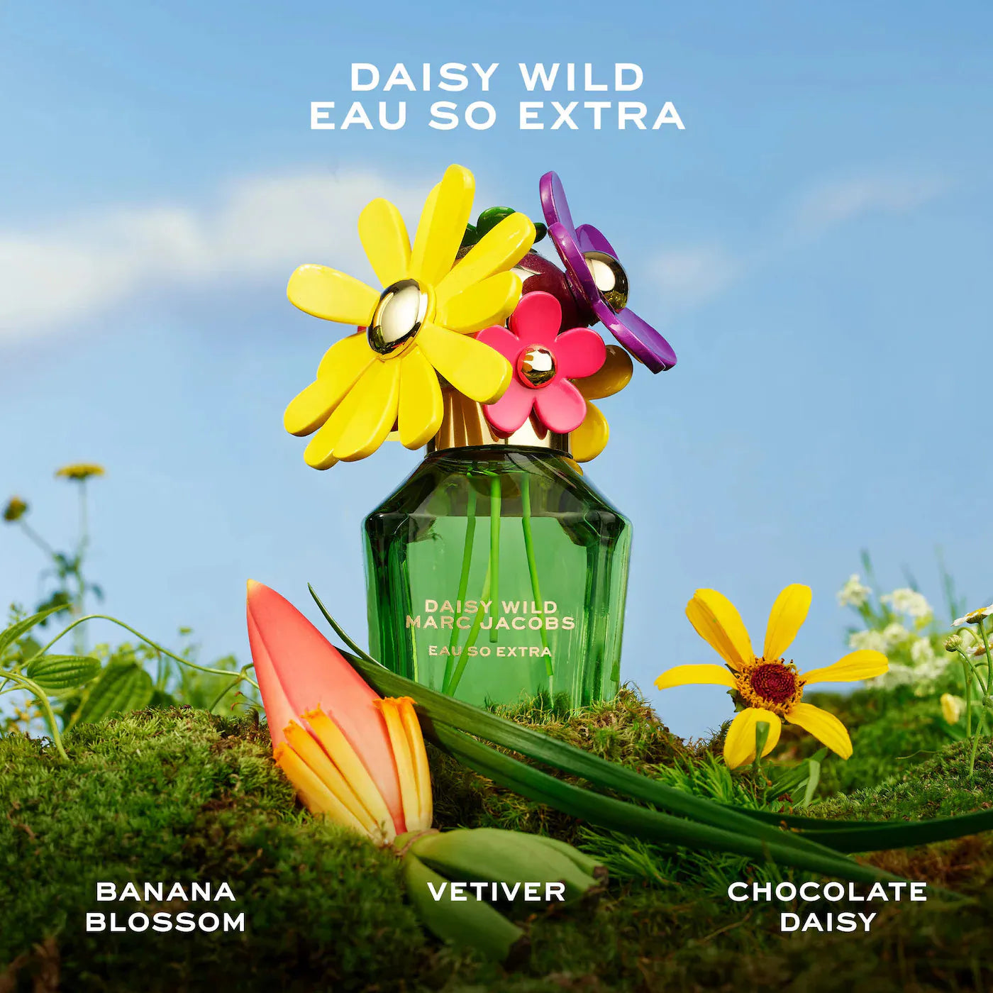Holiday Women's Perfume Sampler Gift Set | PREVENTA