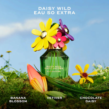 Holiday Women's Perfume Sampler Gift Set | PREVENTA